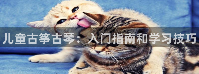 凯发官方:访问凯发.网站