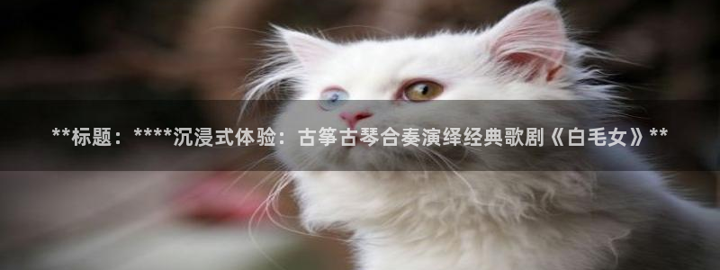 凯发k8娱乐|k808.vip