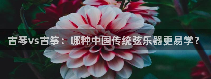 凯发k8娱乐欢迎您