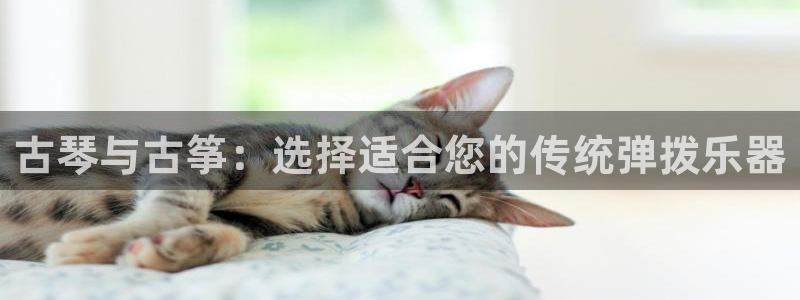 k8凯发是做什么的