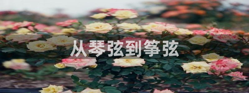 凯发国际网站首页