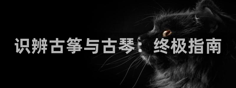 凯发国际网址官网查询