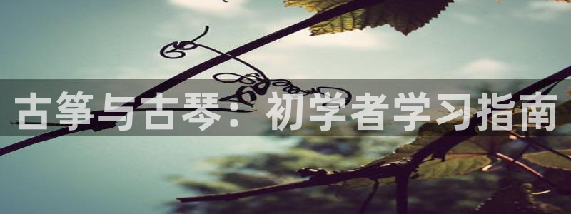 凯发k8官方网娱乐官方真