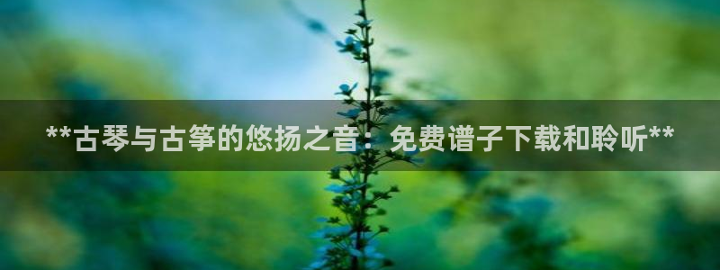 凯发app官网