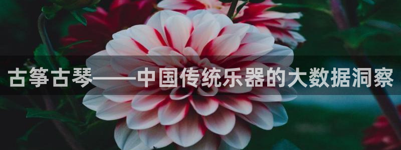 凯发网址多少