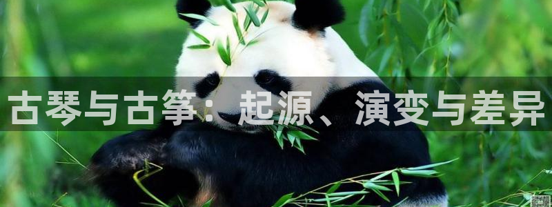 凯发k8娱乐平台能提现吗