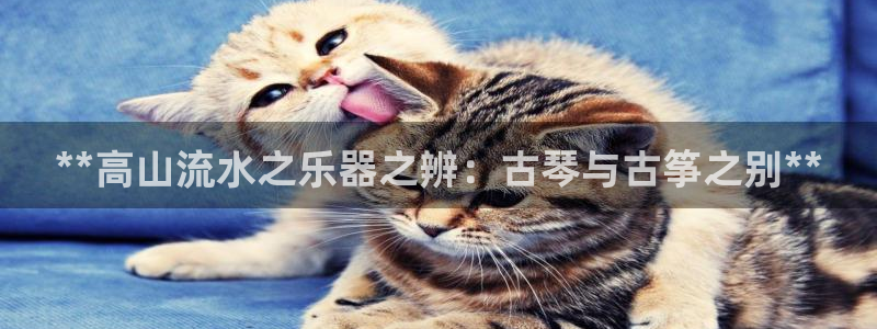 凯发首页登录