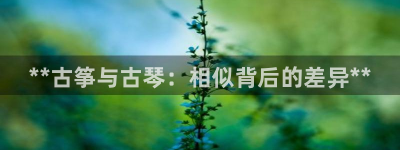凯发k8娱乐官网网址中心