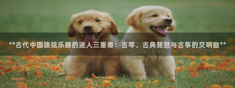 凯发国际平台登录入口官网