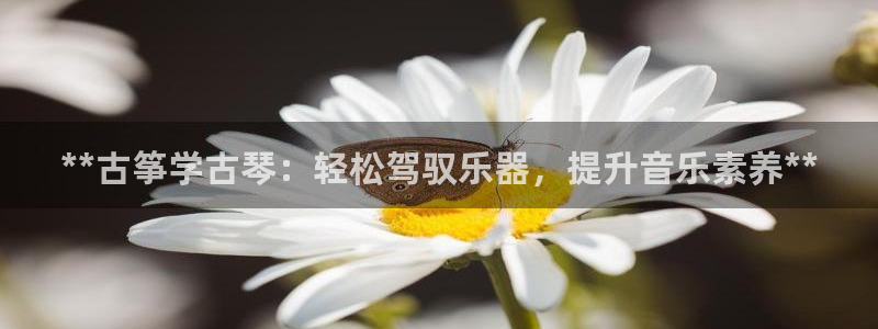 凯发网官网
