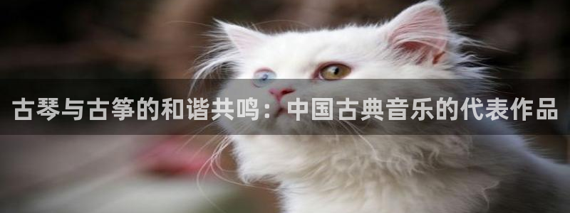 凯发k8娱乐|k808.vip