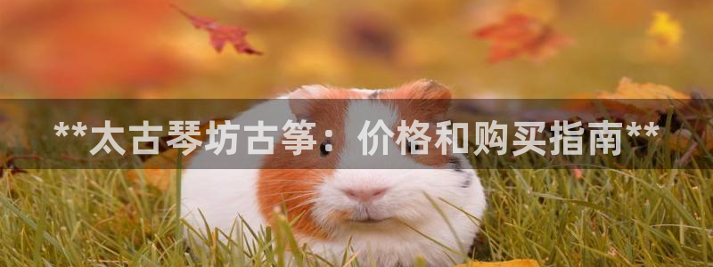 凯发k8娱乐旗舰