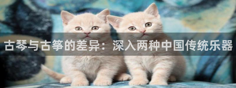 凯发k8网页登录