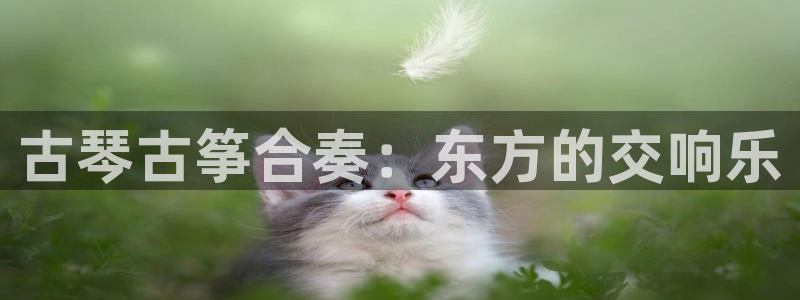 凯发线上官方网站下载网址