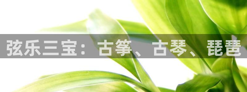 凯发国际是什么