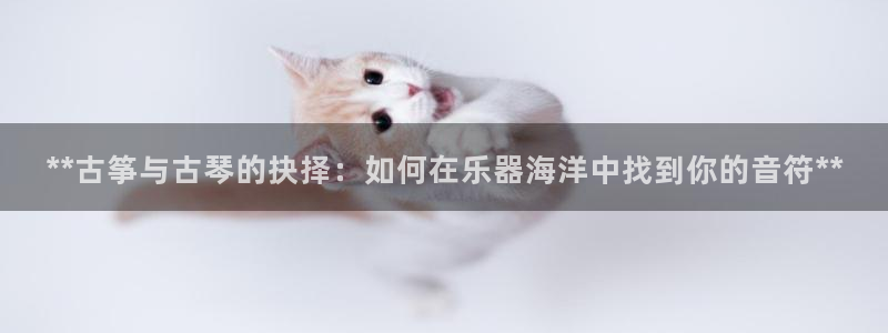 凯发国际网站官网