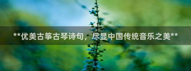 凯发注册app在线