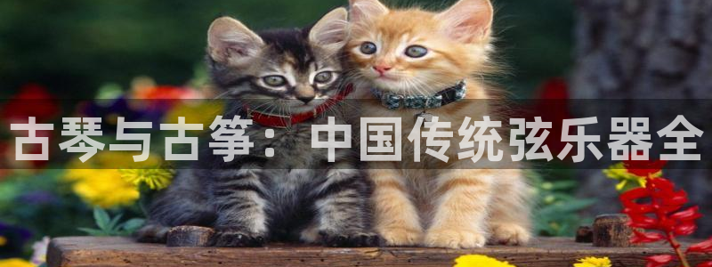 凯发官方在线