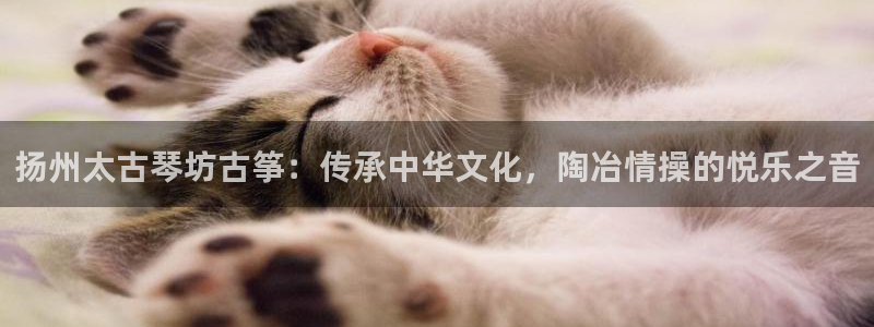 凯发k8手机网页