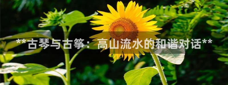 凯发线上官方网站下载网址