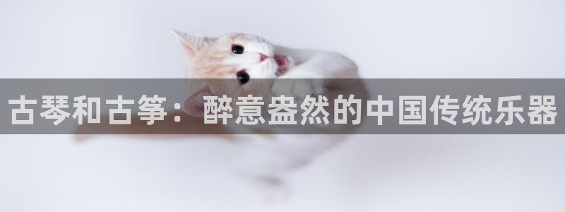凯发k8娱乐是国内平台?