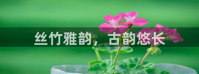 凯发k8娱乐旗舰厅