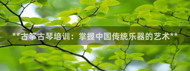 凯发k8555|手机版