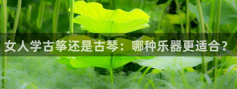 凯发k8娱乐平台下载