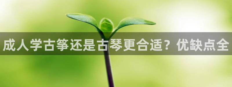 凯发网址多少