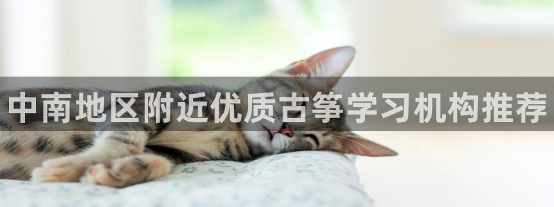 凯发k8ag85856