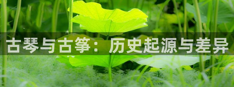 凯发旗舰网站