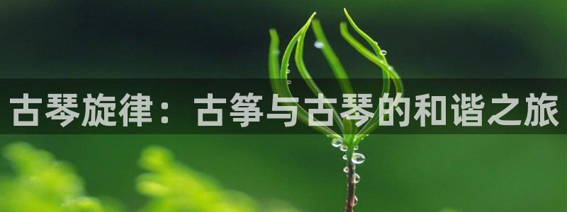 凯发娱乐k8国际