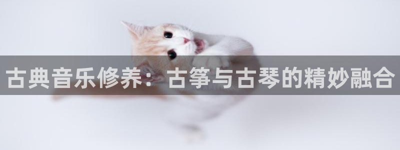 凯发k8娱乐是国内平台?