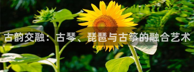 凯发k8娱乐旗舰