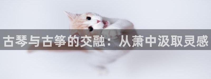 凯发k8网站是多少