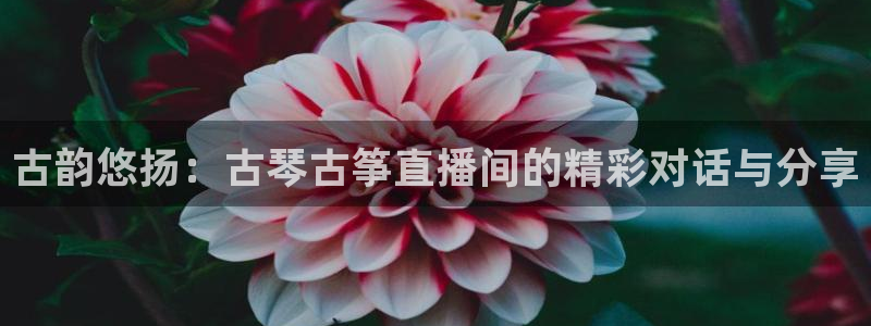凯发国际平台登录入口官网：古韵悠扬：古琴古筝直播间的精彩对话