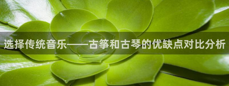凯发是什么意思：选择传统音乐——古筝和古琴的优缺点对比分析