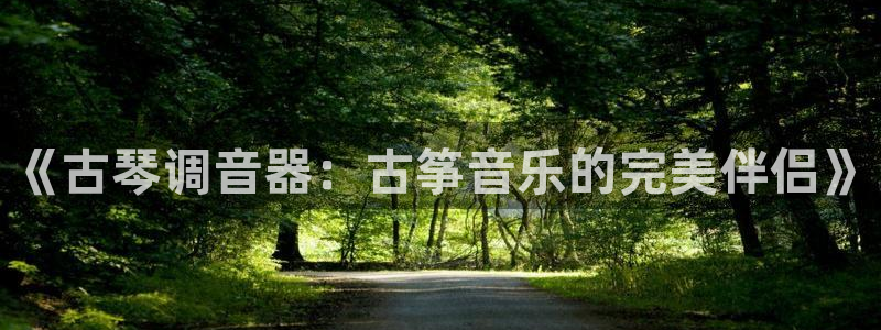凯发国际平台登录：《古琴调音器：古筝音乐的完美伴侣》