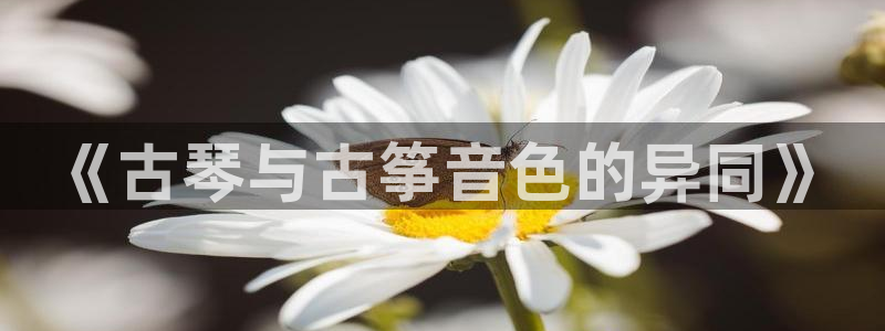 凯发k8旗舰店：《古琴与古筝音色的异同》