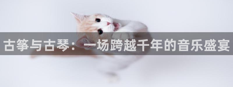 凯发app可信吗：古筝与古琴：一场跨越千年的音乐盛宴