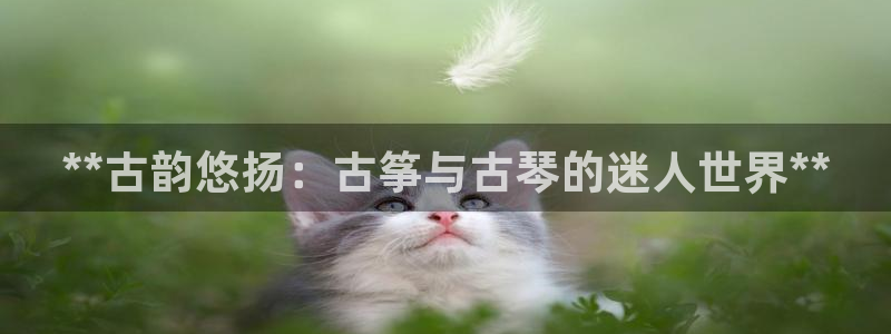 凯发k8国际版官网：**古韵悠扬：古筝与古琴的迷人世界**