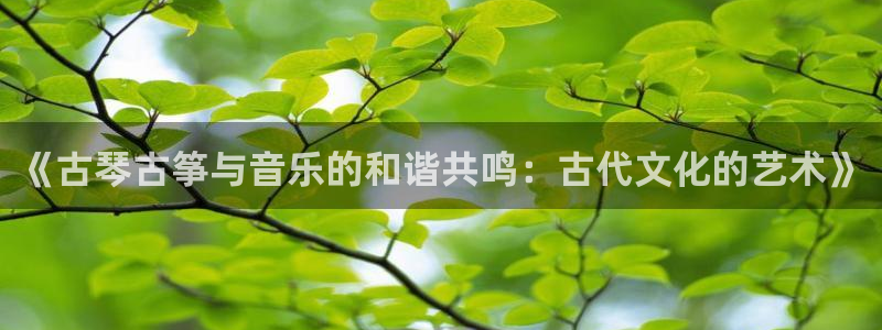 凯发k8国际真人版可靠送38元：《古琴古筝与音乐的和谐共鸣：