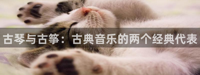 凯发k8娱乐旗舰厅