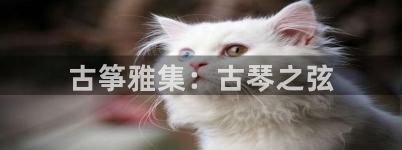 凯发k8国际 不能提款了