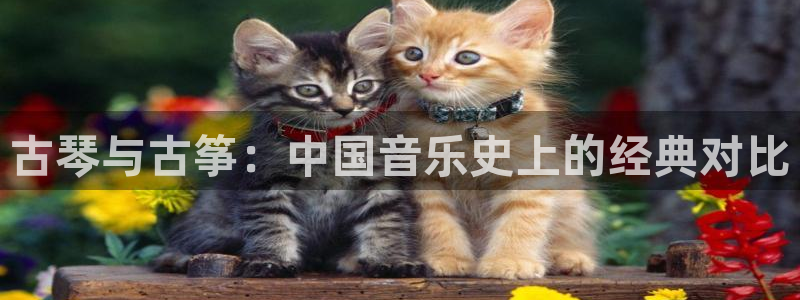 凯发k8娱乐真人旗舰厅客服