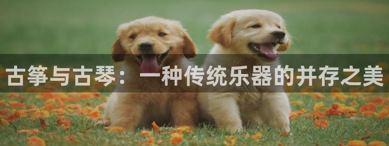 凯发官方:访问凯发.网站