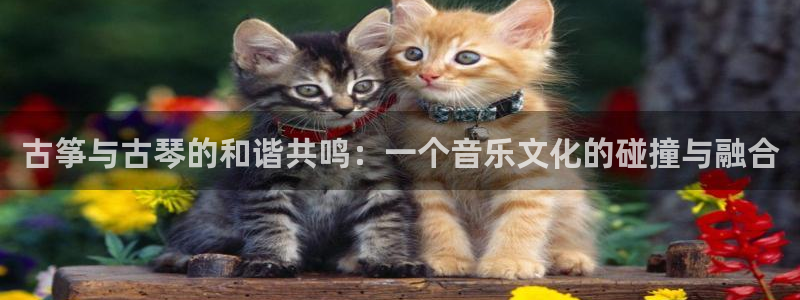 凯发k8娱乐平台网址