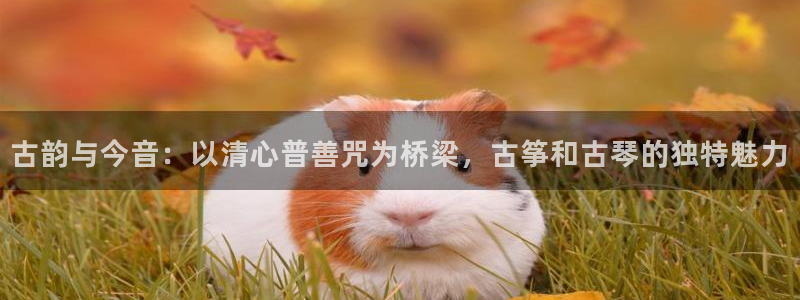 凯发官方网站下载