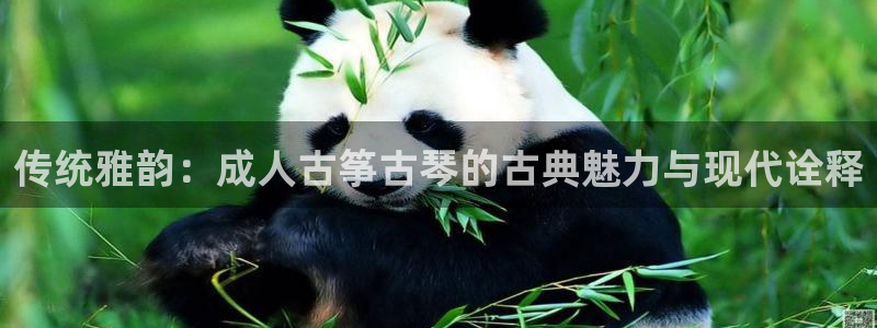 凯发k8网站是多少