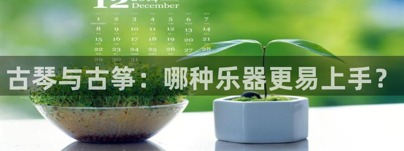 凯发k8ag旗舰厅网址:古琴与古筝:哪种乐器更易上手?